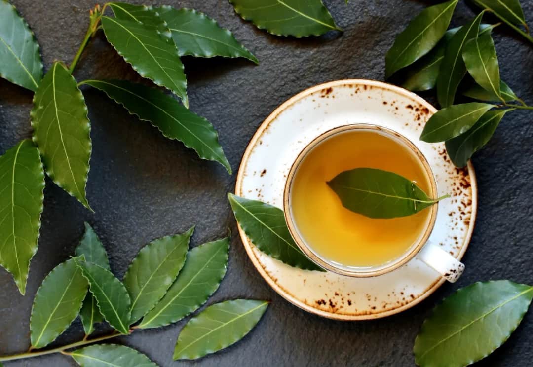 Z jakich liści można zrobić herbatę? Odkryj zdrowe alternatywy