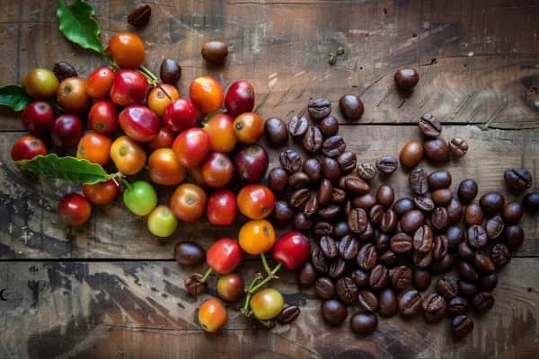 Gdzie rośnie kawa? Odkryj tajemnice uprawy i najlepsze regiony